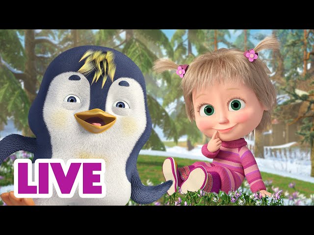 🔴 LIVE STREAM 👱‍♀️🐻 마샤와 곰 📖🌏 펭귄과 팬더의 스토리들✨🐧🐼 Masha and the Bear