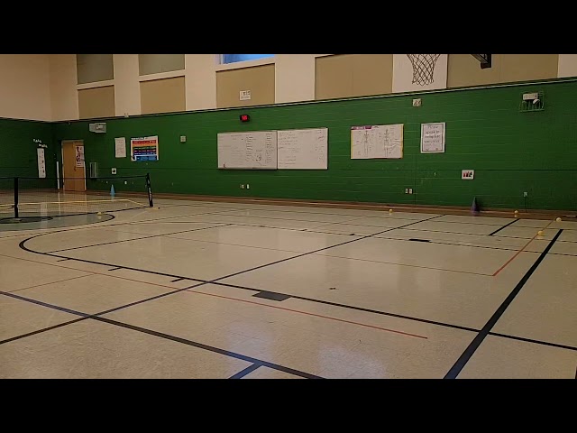 Pickleball Topspin serve