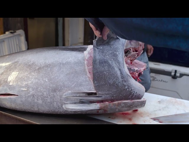 Cutting a Fish