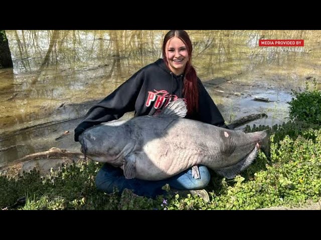 Massive fish caught in Ohio River by 15-year-old girl might be new state record