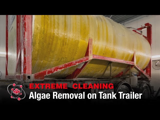 EXTREME CLEANING: TRUCK FULL OF ALGAE