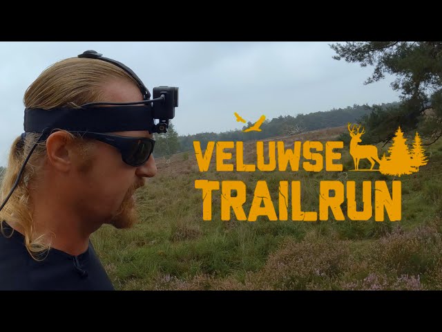 Veluwse Trailrun 2023 - A 14.5km Running Match - Virtual Run - Treadmill Run