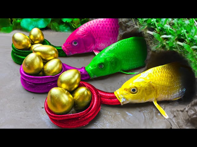 Stop Motion ASMR Pool Fishing - Traps Colorful Fish, Crocodile Hunts Catfish Mukbang Sea Crab