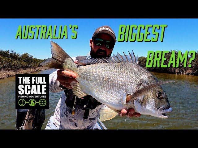 Australia's Biggest Bream? | Sight Casting Port Pirie | The Full Scale