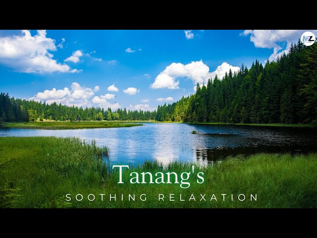 Tenang's | Soothing Relaxation | MZ - Copyright free music 🎶