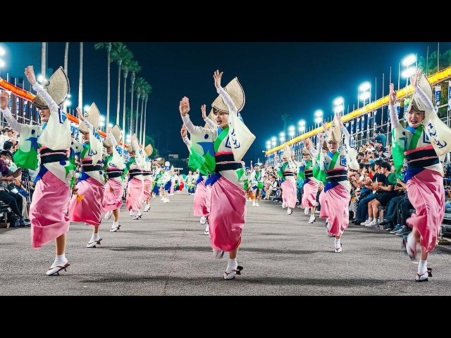 Festival Tari Tradisional Jepang Awa Odori | Awaodori 2024 di Tokushima