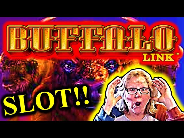 Some MOAR BUFFALO LINK! #slots #casino #slotmachine #slotwin #jackpot #bonusfeature #casinogames