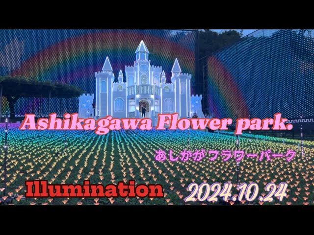 Amazing Japan…Ashikagawa Flower Park beautiful Illumination!