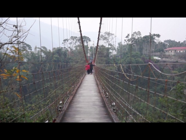 【南投賞梅旅遊景點】水里上安社區(槑鄉休閒農業區)賞梅秘境-鵲橋漫步雲端