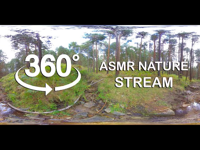 ASMR 360º STREAM. Relax With Nature Sounds. Meditation for Oculus Quest. Sleep. White Noise