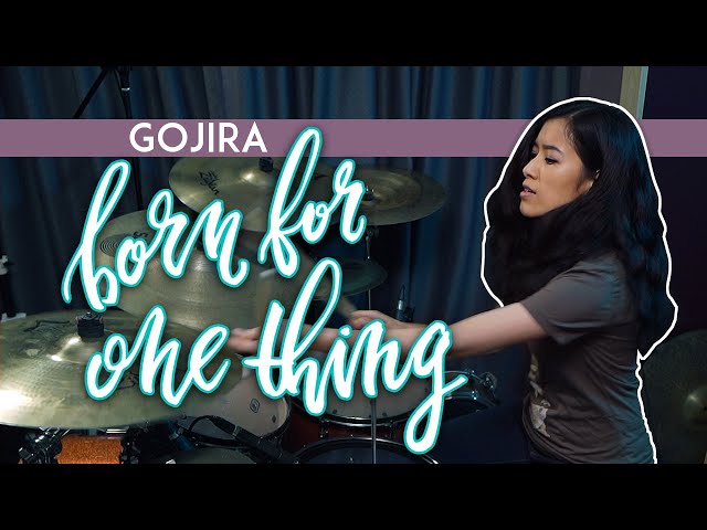 Gojira - Born For One Thing (drum cover)