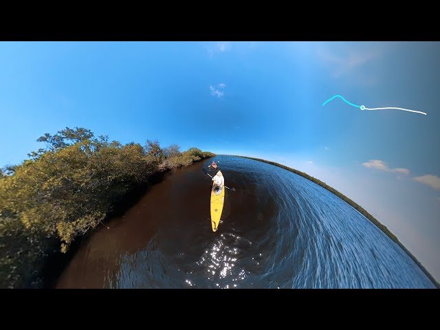 Paddle Manatee - Colony Cove to Ft Hamer - 2024-04-17 - 02/10