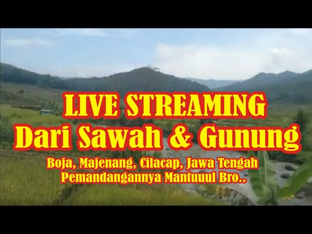 🔴 LIVE Dari Sawah & Gunung #TutorialLaptopComputer