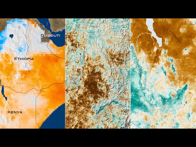 How Satellite Data is Contributing to Global Food Security