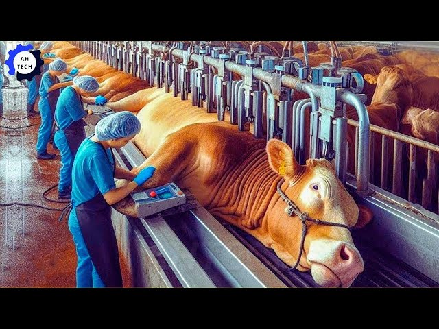 15,000+ Livestock Machines Revolutionizing U.S. Farming | Most Satisfying Agriculture Technology