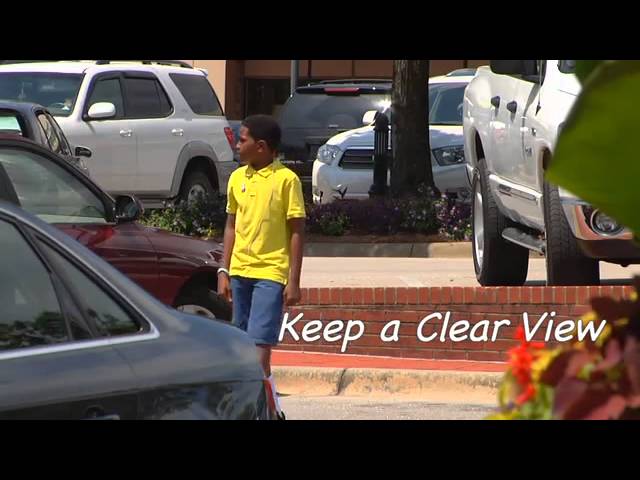 Let's Go Walking! Lesson 5: Parking Lot Safety