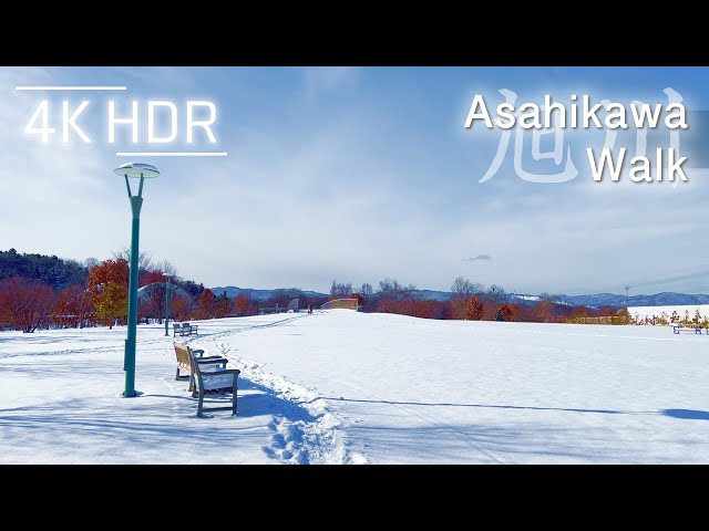 Sunny City Walk on Fresh Snow in Asahikawa, Hokkaido, Japan | 4K HDR