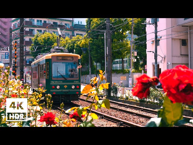 Otsuka Rose Street, Tokyo | 4K HDR with Japanese ambience