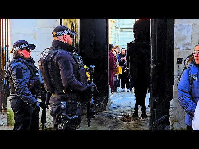 Excellent Female Officer Deals with Tourist Who Argued About White Line during Changing of the Guard