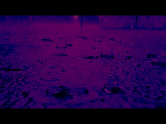 Rain White Noise/Slow-Motion Ambient Video/Purple Raindrops