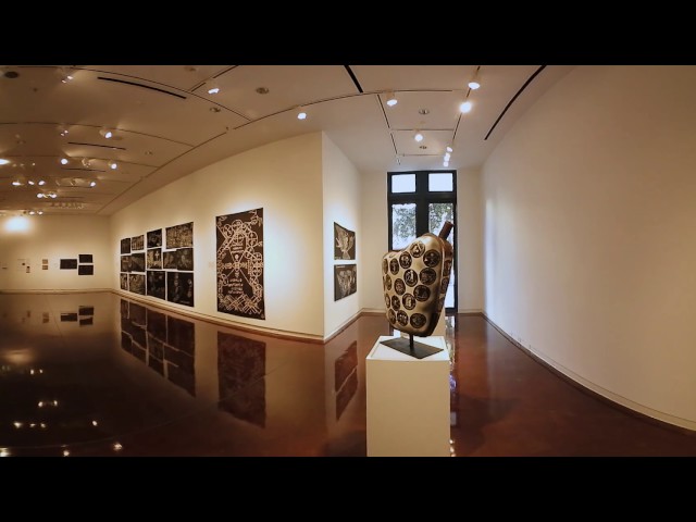 360° Video -- Halsey Institute of Contemporary Art -- College of Charleston