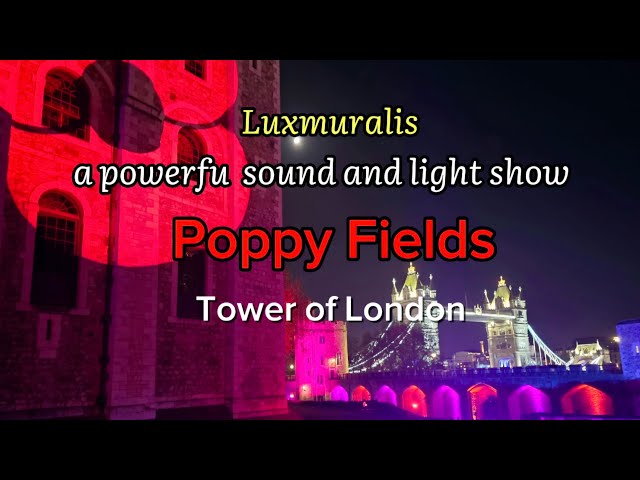 Remembrance Day Light Show Poppy Fields at the Tower London.