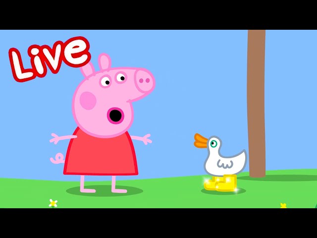 🔴 Peppa Pig LIVE SPECIALS! 🎬 Peppa Pig Mini Movies 🍿 STREAMING NOW 🌟 Kids Videos 🔴