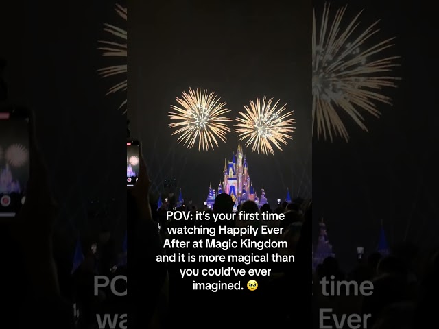 Magical nights: experience the spectacular show at disney #happilyeverafter