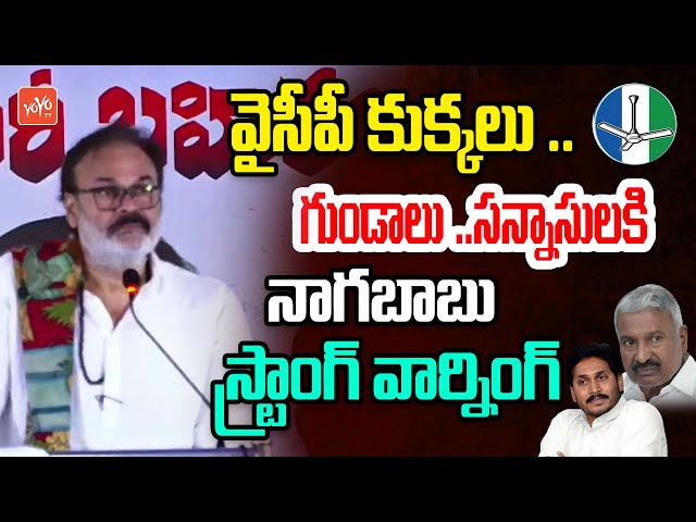 వైసీపీ కుక్కలు Naga Babu Daring Comments On YS Jagan & YCP Leaders | YOYO TV Channel