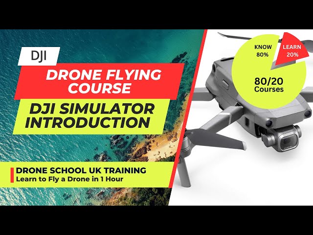 Flying with the DJI Flight Simulator | Introduction to Go 4 App, Set up & Getting Started