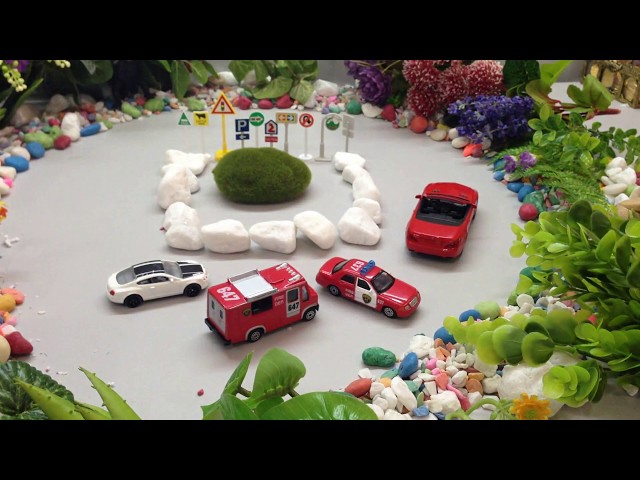 Doy and Toy | Super Toy Car: Honda, Toyota, Police Toy car | Fire Toy Car and Amazing Toy Car