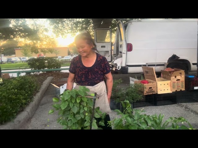 Pinellas Farmers and Flea Market