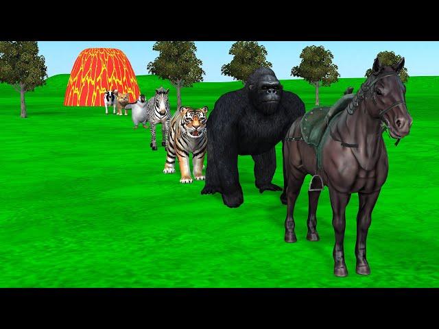 Paint & Animals Cat, Pig, Rabit Buffalo, Lion Fountain Crossing Transformation Animal Cartoon - P1