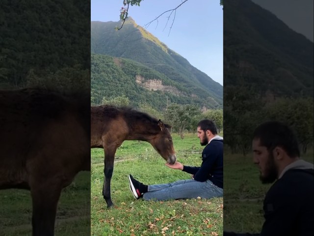 Islam Makhachev: Relaxing and Reconnecting with Nature Through Horse Riding #trending