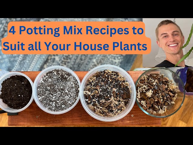 4 House Plant Potting Mix Recipes - Common Plants, Succulents, Tropical Aroids & Orchids