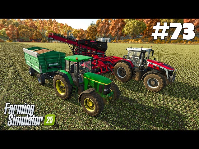 Wykopki buraków cukrowych - Farming Simulator 25 | #73