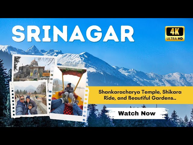 You Won't Believe the NATURAL Beauty of Srinagar | 4K Video