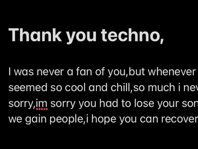 THANK YOU @Technoblade #rip #technoblade #riptechnoblade #viral