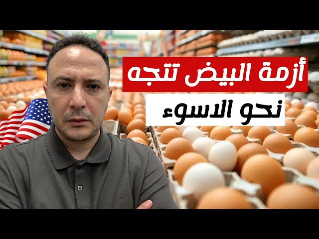 أزمة البيض تتفاقم في امريكا و الوضع يتجه نحو الاسوء