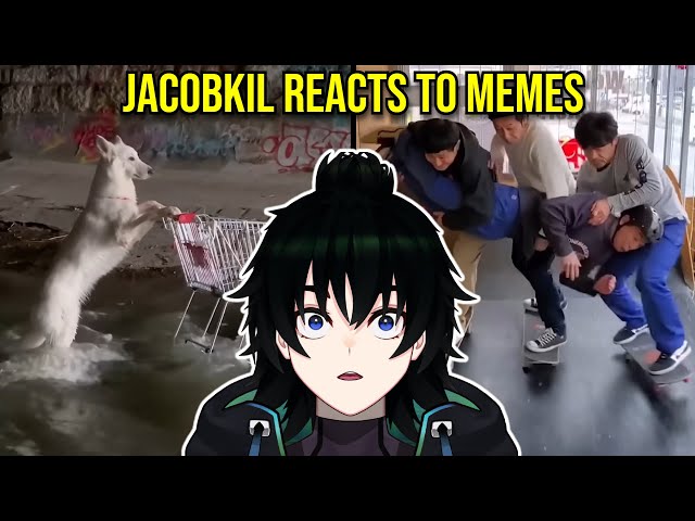 FUNNIEST Vtuber Reactions to MEMES