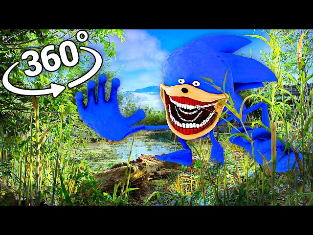 Shin Sonic Tapes - Forest in 360° Video | VR / 8K | (the Sonic Tapes)