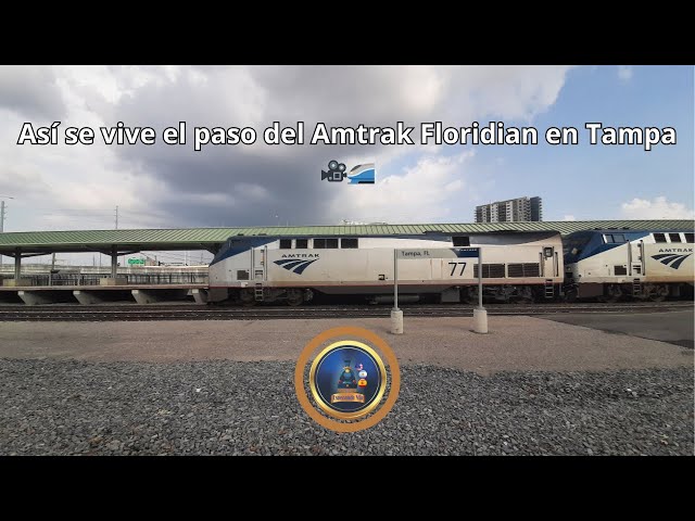 Así se vive el paso del Amtrak Floridian en Tampa 🎥🚄