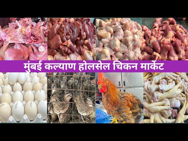 Mumbai Kalyan Chicken Market | Kalyan Meat Market | Chicken Market in Mumbai