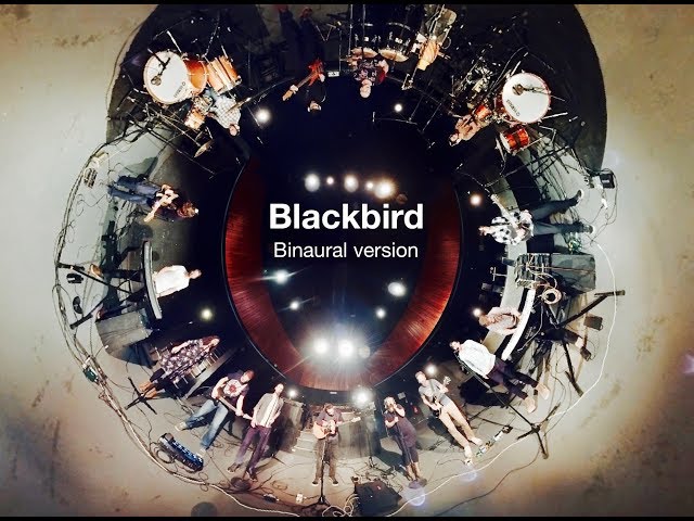 OFMA VR 360° - Blackbird (Beatles Cover) w/15 MUSICIANS - Spatial sound