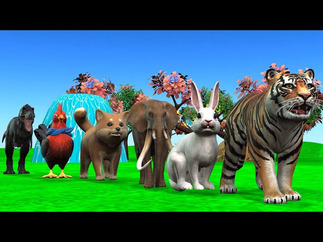 Paint & Animals Dog, Pig, Rabit Buffalo, Lion Fountain Crossing Transformation Animal Cartoon -P1