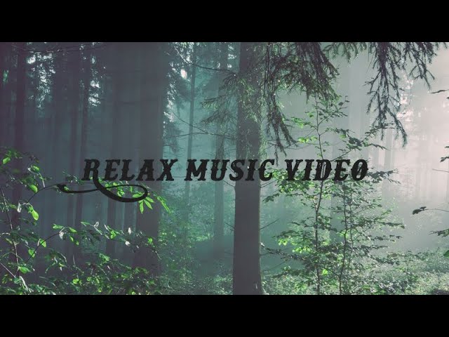 Beautiful relaxing music for deep sleep | music video