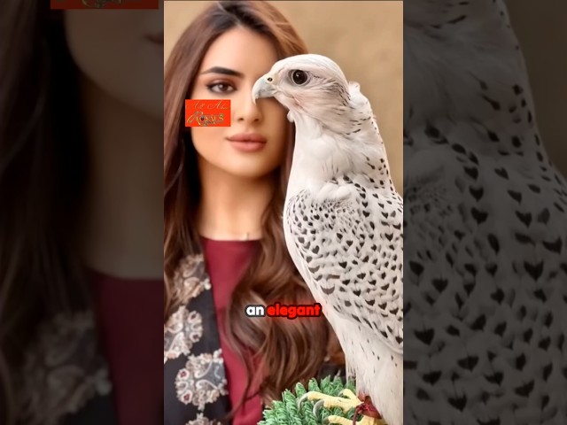 The Symbol of Strength_ Princess Mara and Her Falcon!#dubai #dubaiprincess #viralvideo #viralshorts