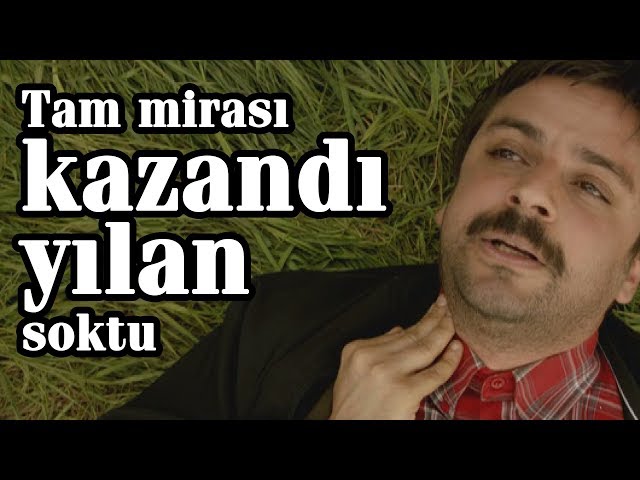 Tam mirası kazandı, yılan soktu