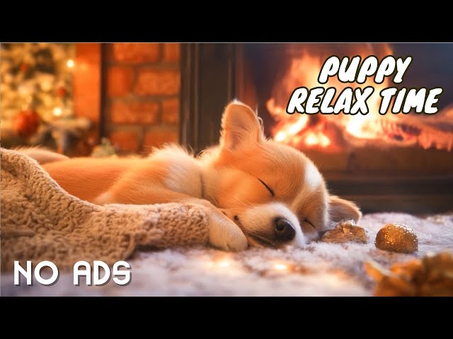 [𝗡𝗢 𝗔𝗗𝗦] Warm Puppy by the Fire 🔥 Peaceful Sleep with Relaxing Piano Music to Relax, Sleep 🎵🐾