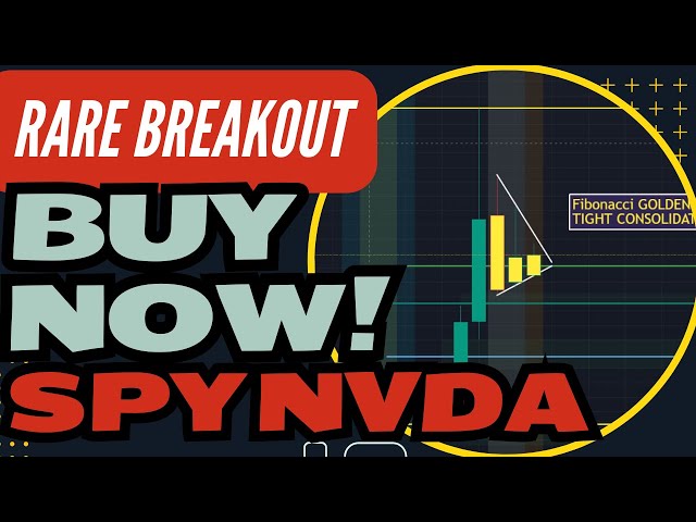 RARE BREAKOUT NOW - TSLA MSTR NVDA SPX AMZN AMD Fibonacci Technical Analysis - Stock Market Outlook